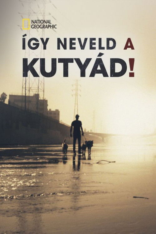 Így neveld a kutyád!