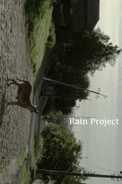 Rain Project