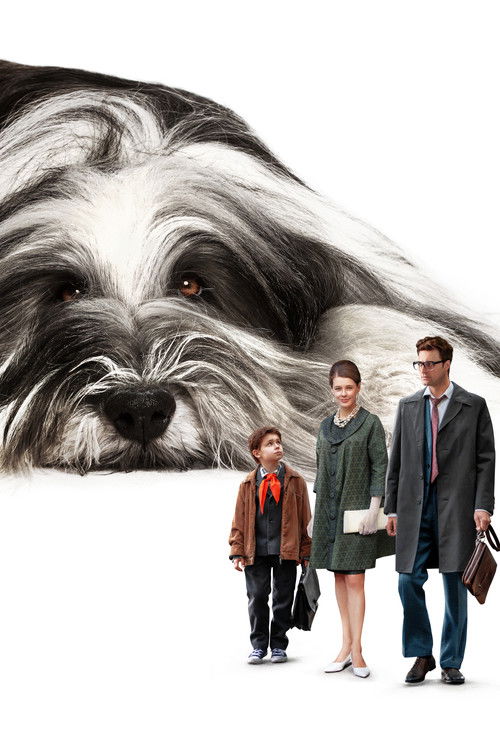 Everyone Dreams of a Dog