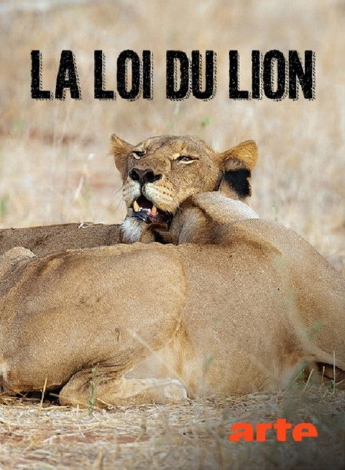 The Lions Rule