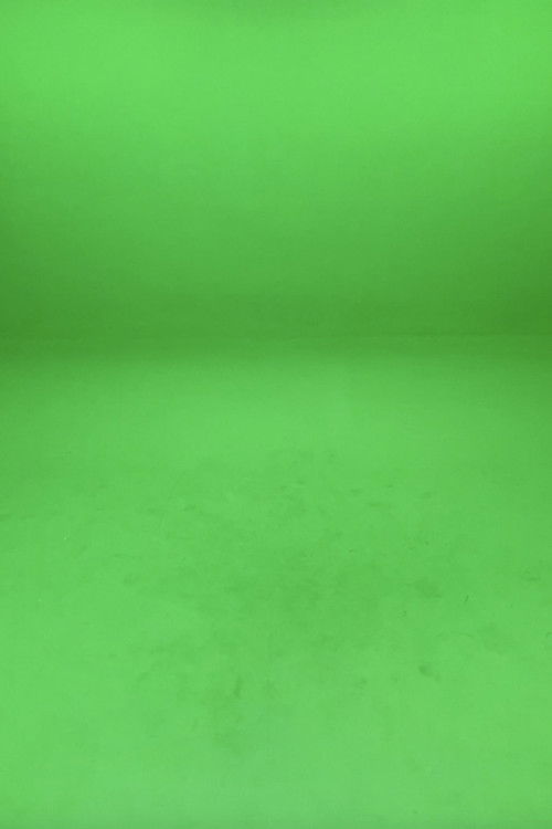 The house that shadows built