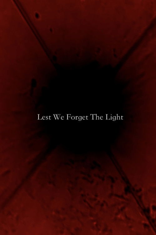 Lest We Forget The Light