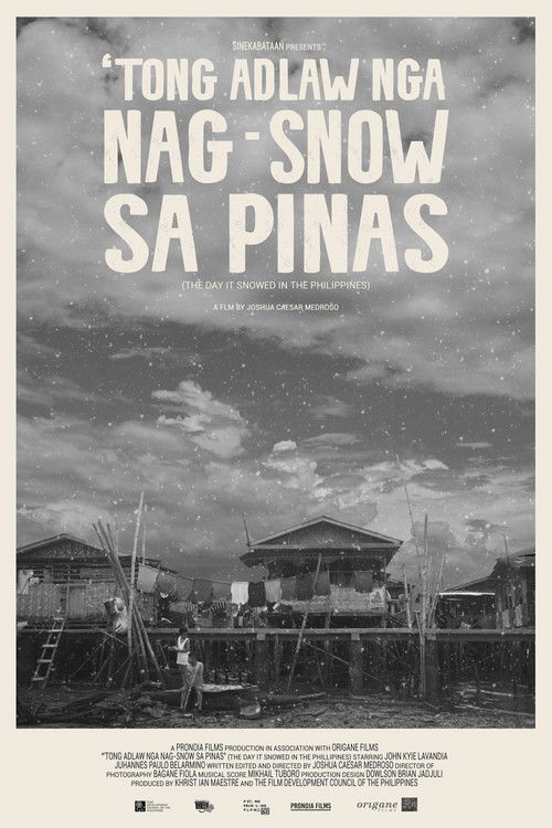 The Day It Snowed in the Philippines