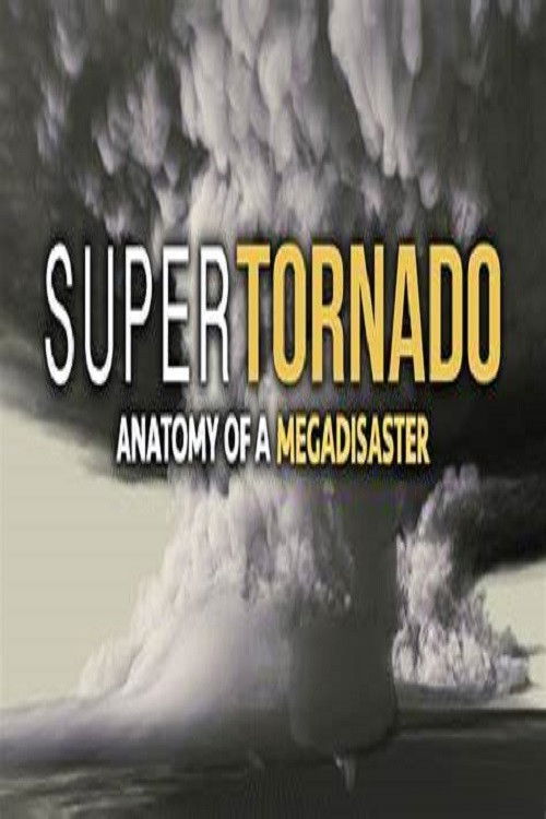 SuperTornado: Anatomy of a MegaDisaster