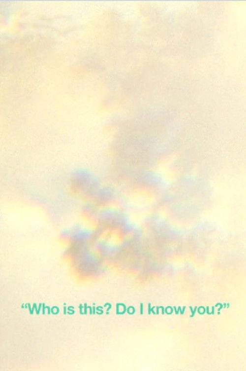 The Everyday Ritual of Solitude Hatching Monkeys