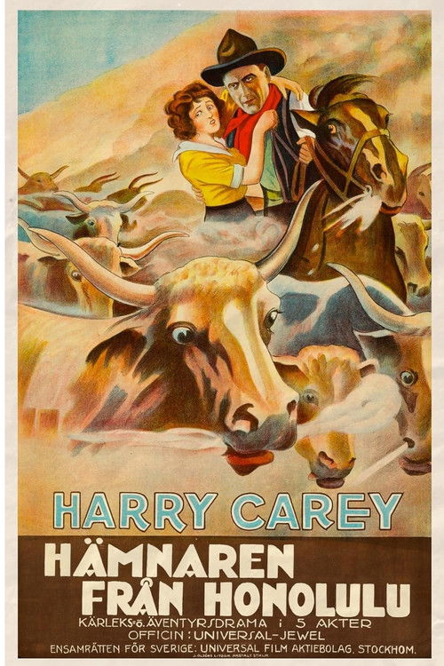 The Outlaw and the Lady