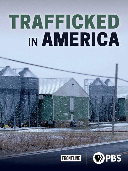 Trafficked in America
