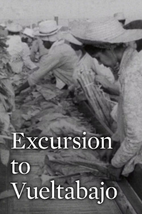 Excursion to Vueltabajo