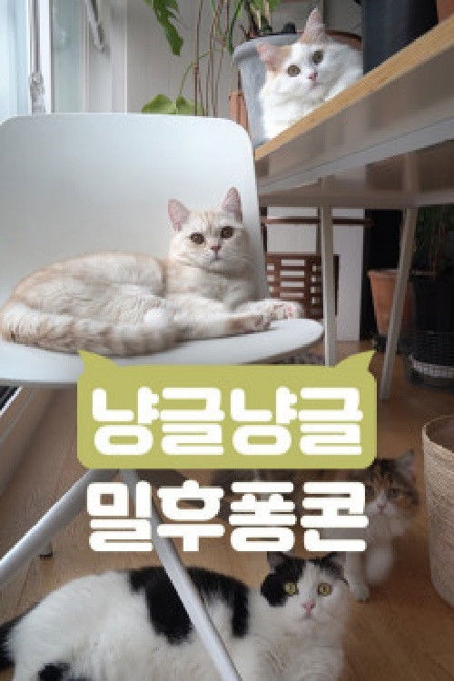 냥글냥글 밀후퐁콘