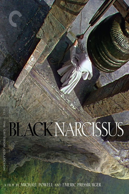 A Profile of 'Black Narcissus'