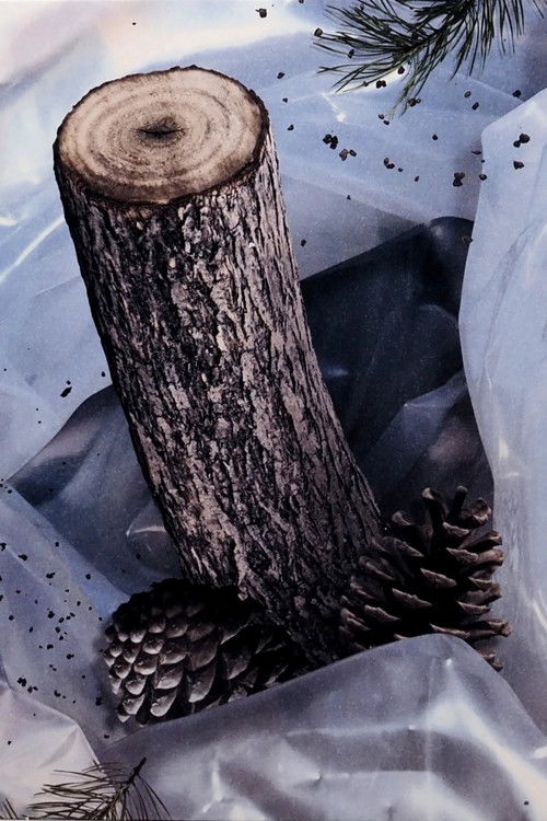 TWIN CHEEKS: Who Killed The Homecoming King?