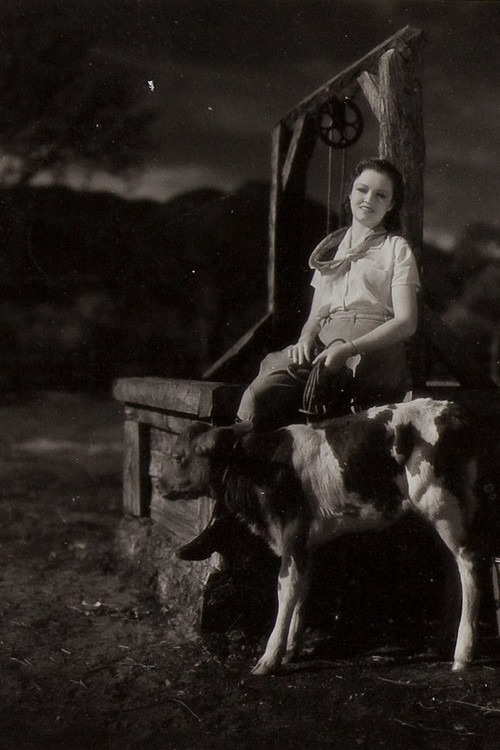 The Mysterious Rider