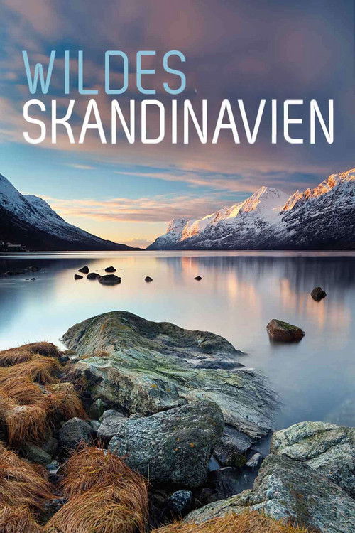 Wild Scandinavia