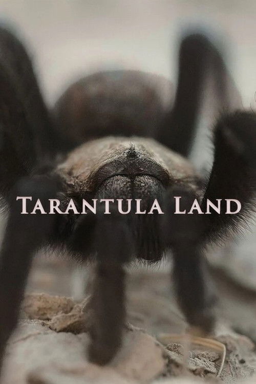 Tarantula Land