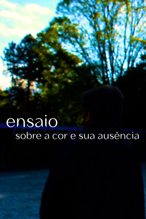 Essay on color and its absence