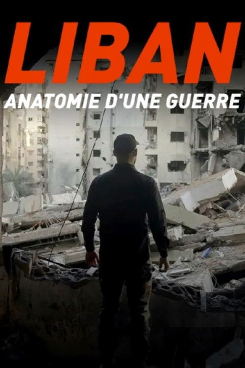 Liban : anatomie d'une guerre