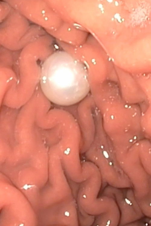 Pearl Diving, part I - For the Fabled Artist