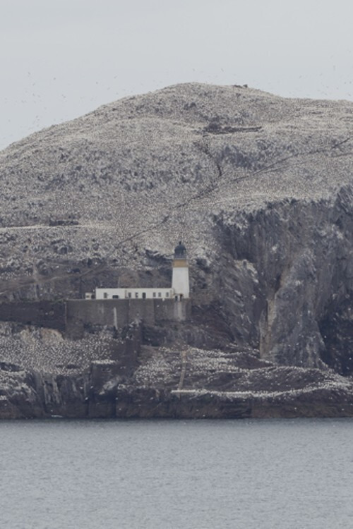 Leading Edge / Trailing Edge