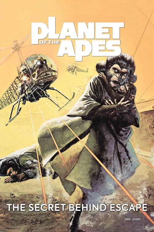 The Secret Behind Escape