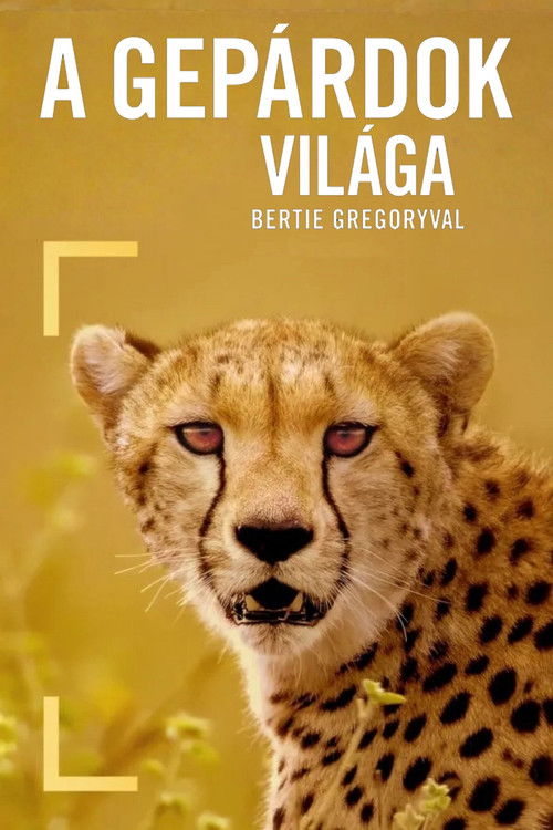 Cheetahs Up Close with Bertie Gregory