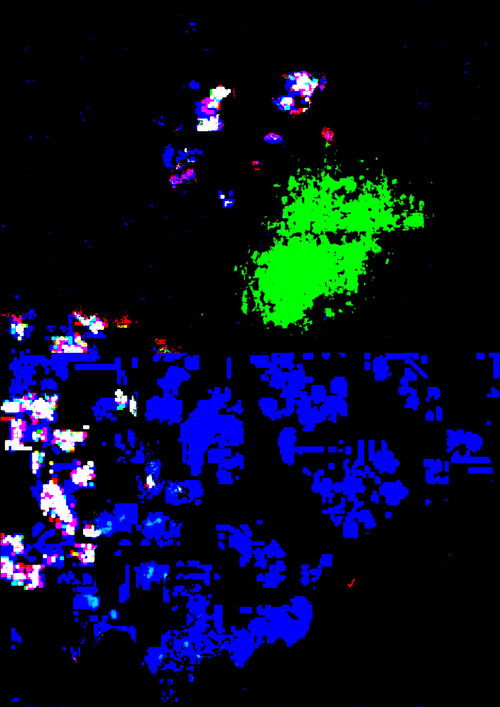 Gaze in the State of Confusion