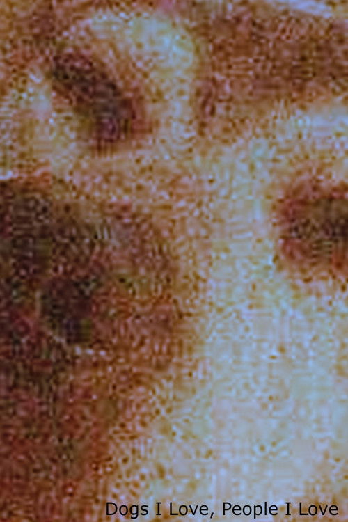 Dogs I Love, People I Love