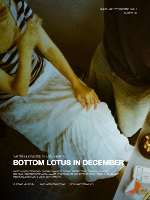 Bottom Lotus In December