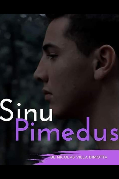 Sinu Pimedus
