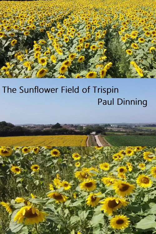 The Sunflower Field of Trispen
