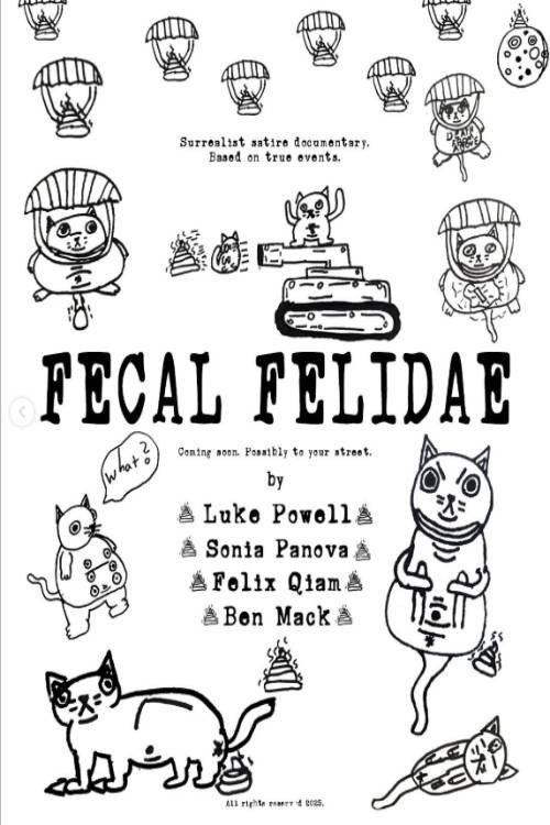 Fecal Felidae
