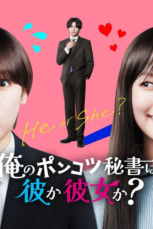 The Secret of My Assistant