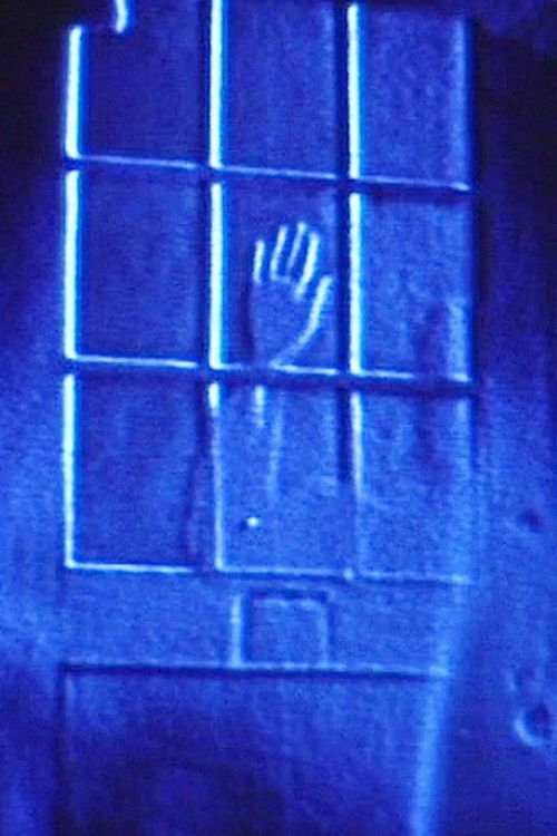 Five Films by Phil Solomon