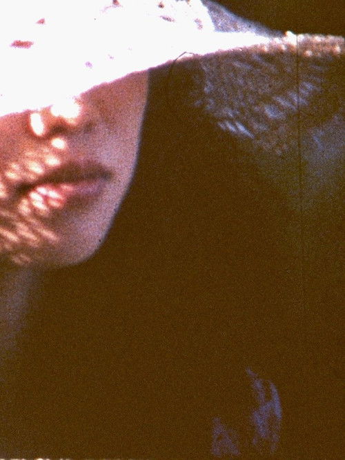 The Destructive Light Will Come