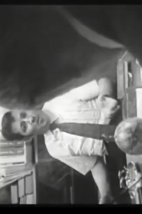 Who Shot Alexander Hamilton