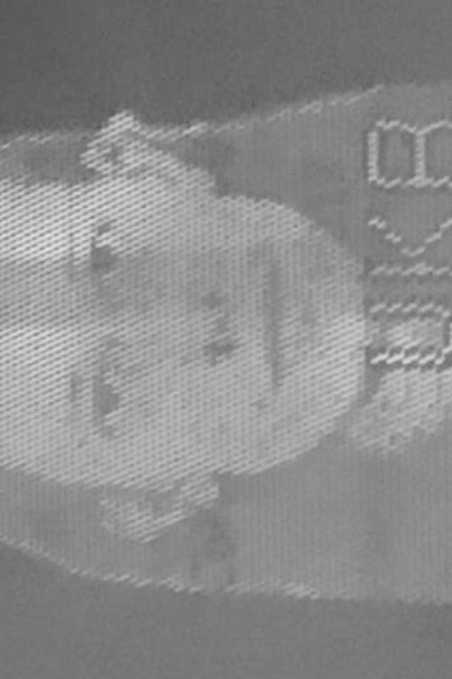 What Will You Do If the War Continues?