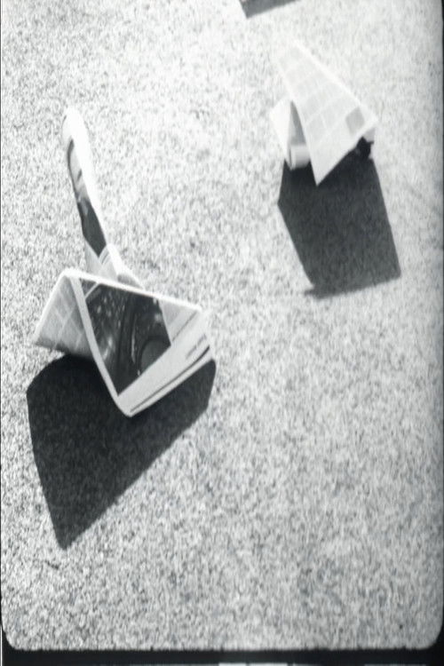 Newspaper for Vignelli