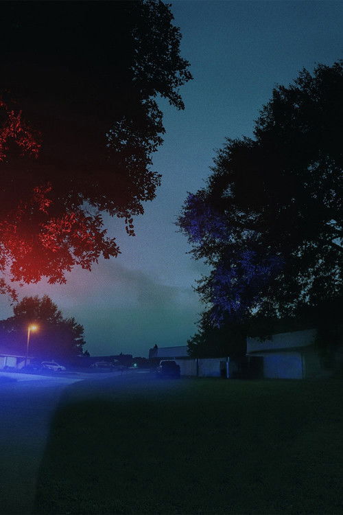 A tökéletes szomszéd