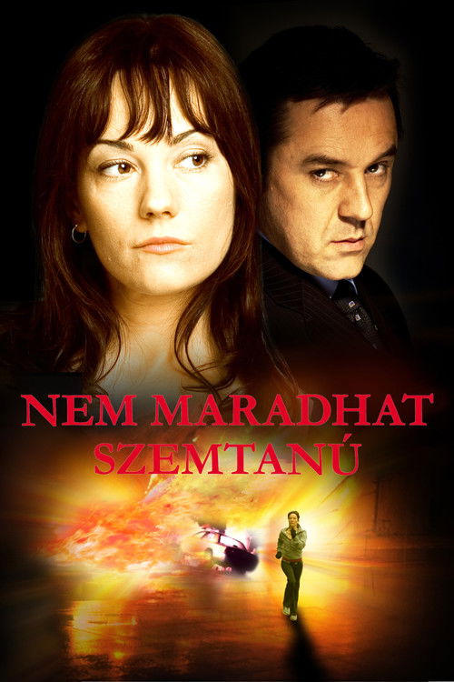 The Accidental Witness