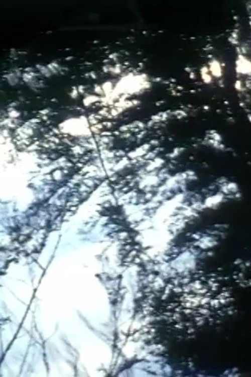 Crepescule Pond and Chair