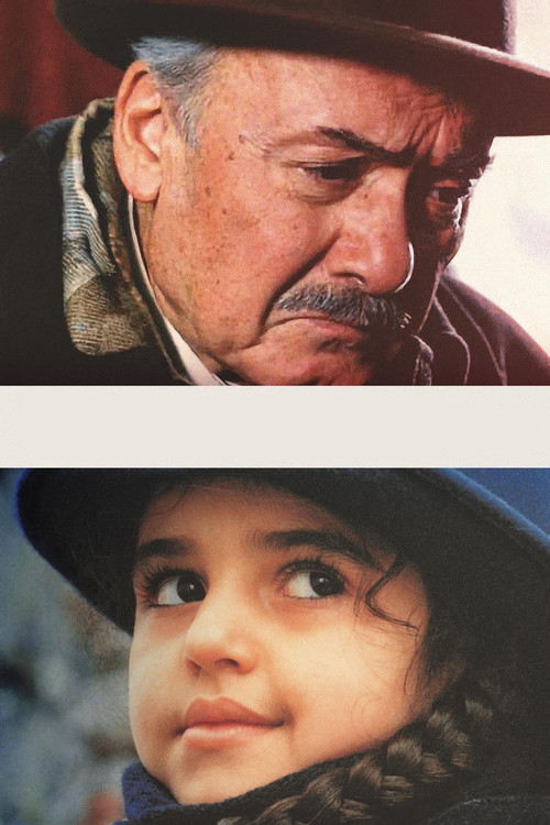 Büyük Adam Küçük Aşk