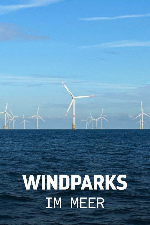 Windparks im Meer - Chance oder Risiko für die Natur?