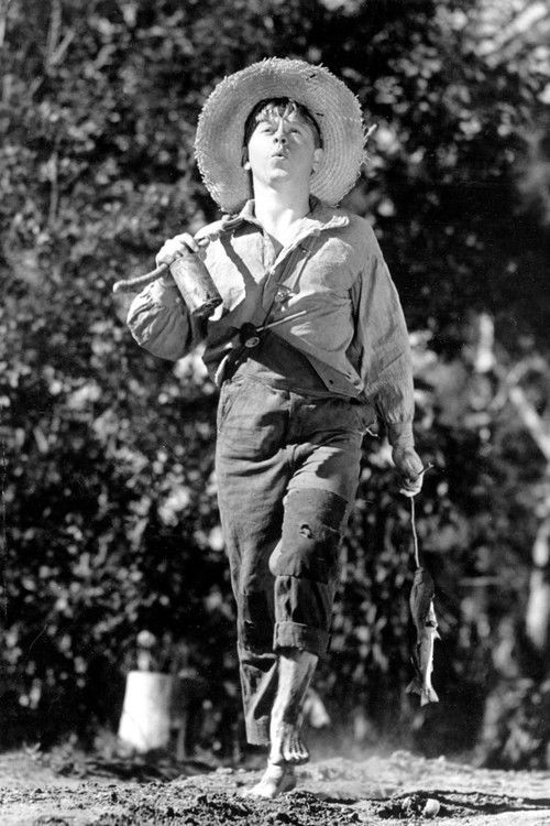 The Adventures of Huckleberry Finn