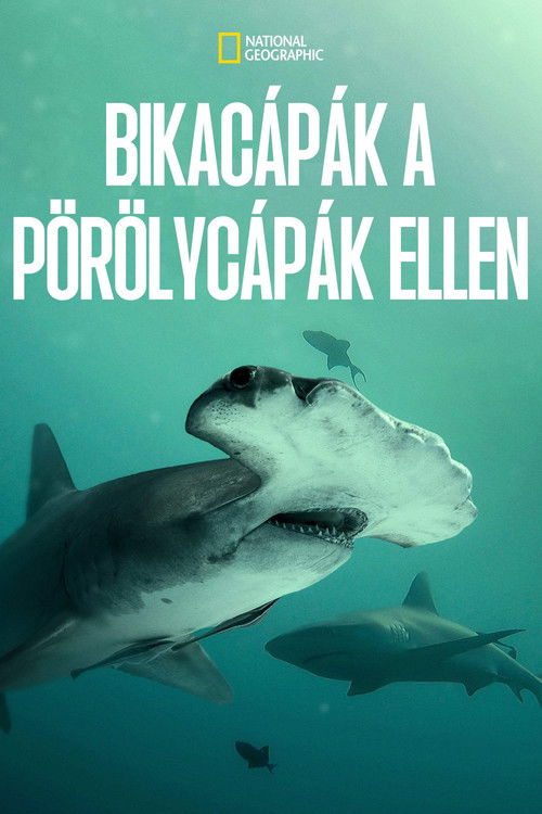 Bikacápák a pörölycápák ellen