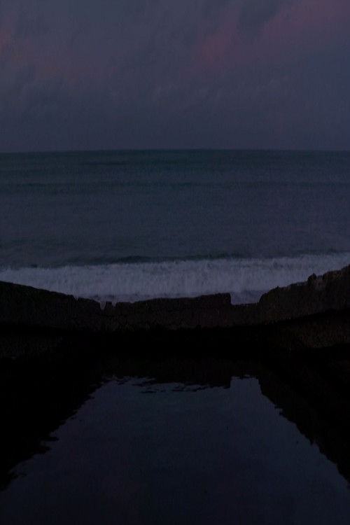 Hommage à Jean-Marie Straub - 08.01.2018 - réalisation Valérie Massadian