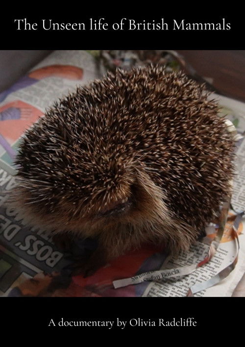 The Unseen life of British Mammals