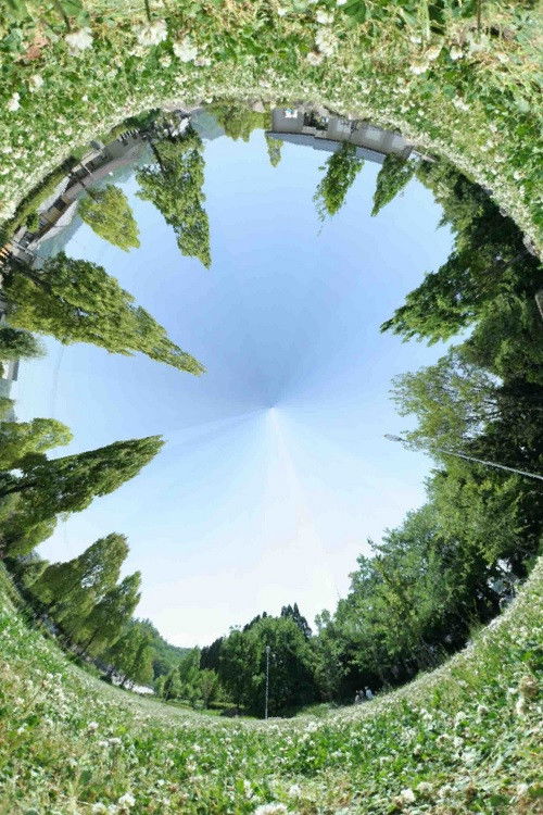 The Study of Another Vanishing Point