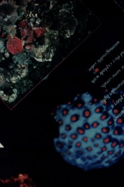 INCHOATRACIES OR EVERYTHING IS AS IT GOES IN ANTEROGRADE