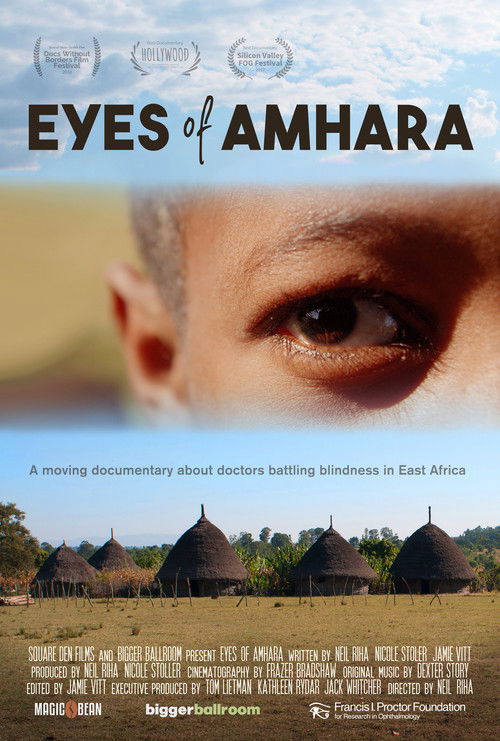 Eyes of Amhara