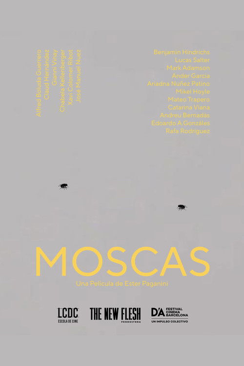 Moscas