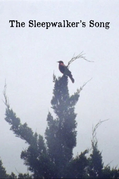 The Sleepwalker's Song